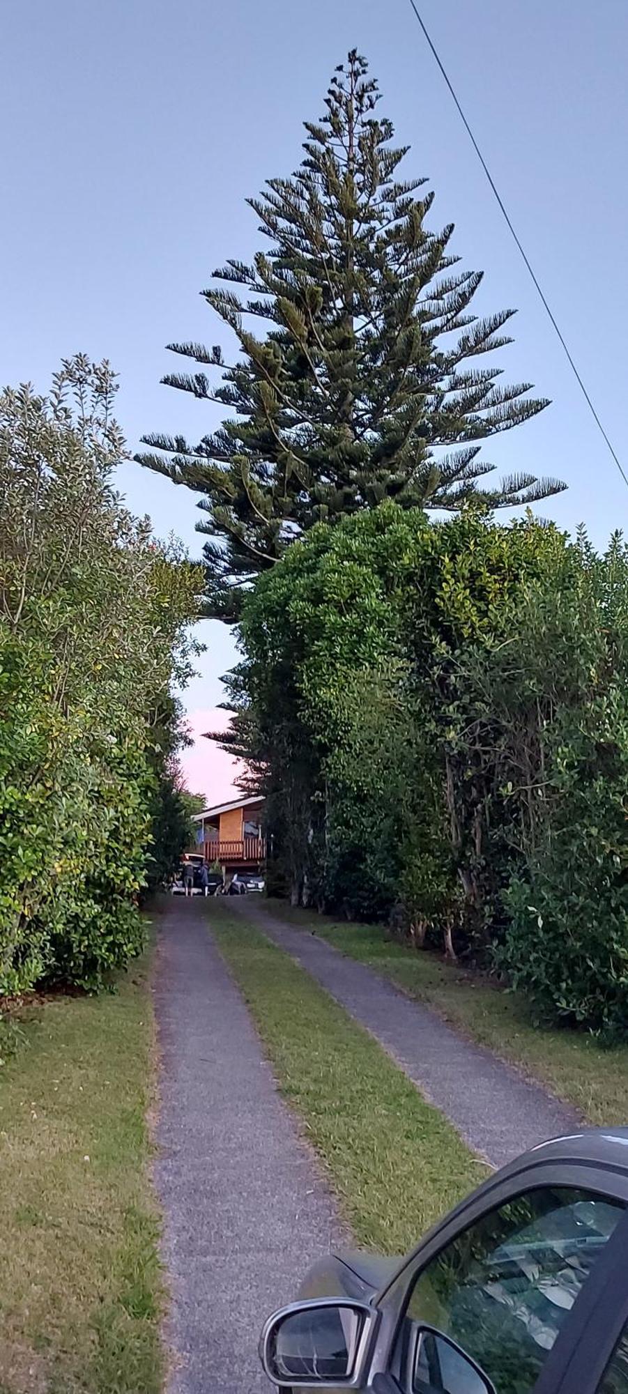 Haley'S Cabin Tauranga Exteriér fotografie